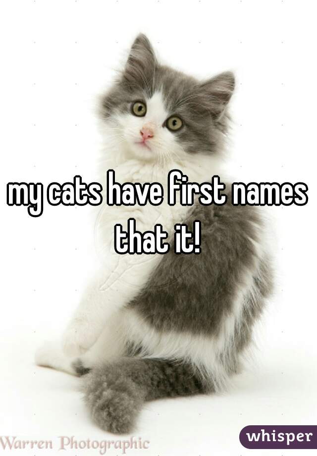 my cats have first names that it! 