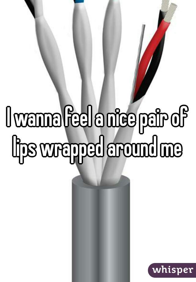 I wanna feel a nice pair of lips wrapped around me 
