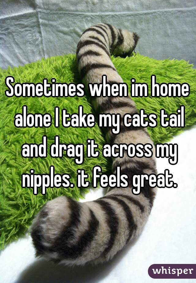Sometimes when im home alone I take my cats tail and drag it across my nipples. it feels great.