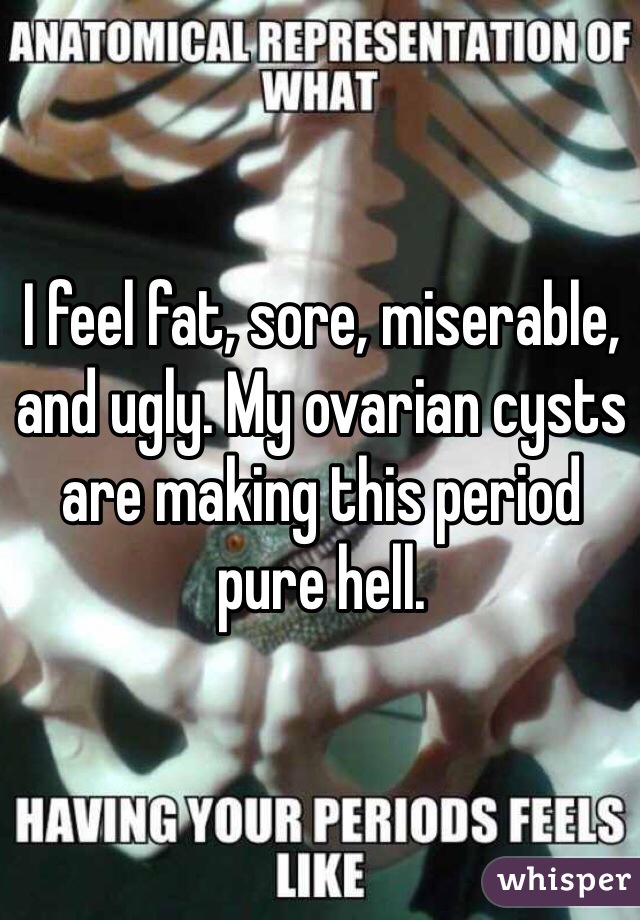 I feel fat, sore, miserable, and ugly. My ovarian cysts are making this period pure hell. 
