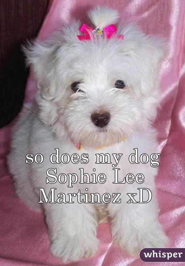 so does my dog Sophie Lee Martinez xD