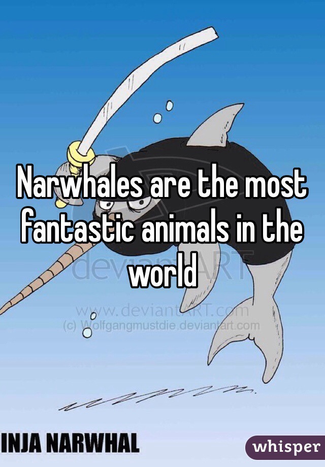 Narwhales are the most fantastic animals in the world 