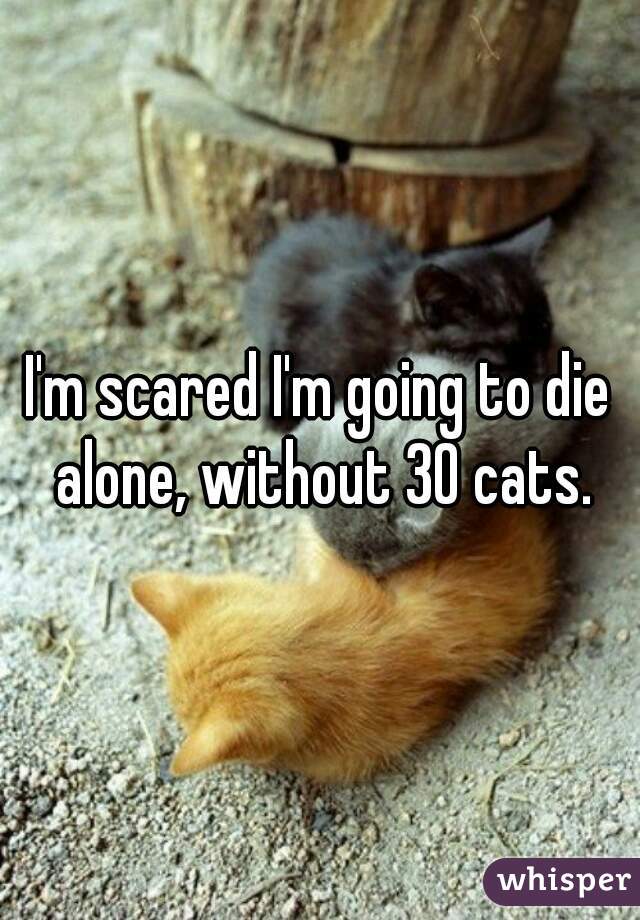 I'm scared I'm going to die alone, without 30 cats.