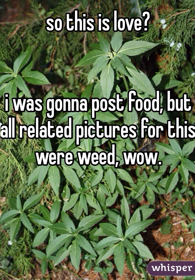 so this is love?


i was gonna post food, but all related pictures for this were weed, wow.