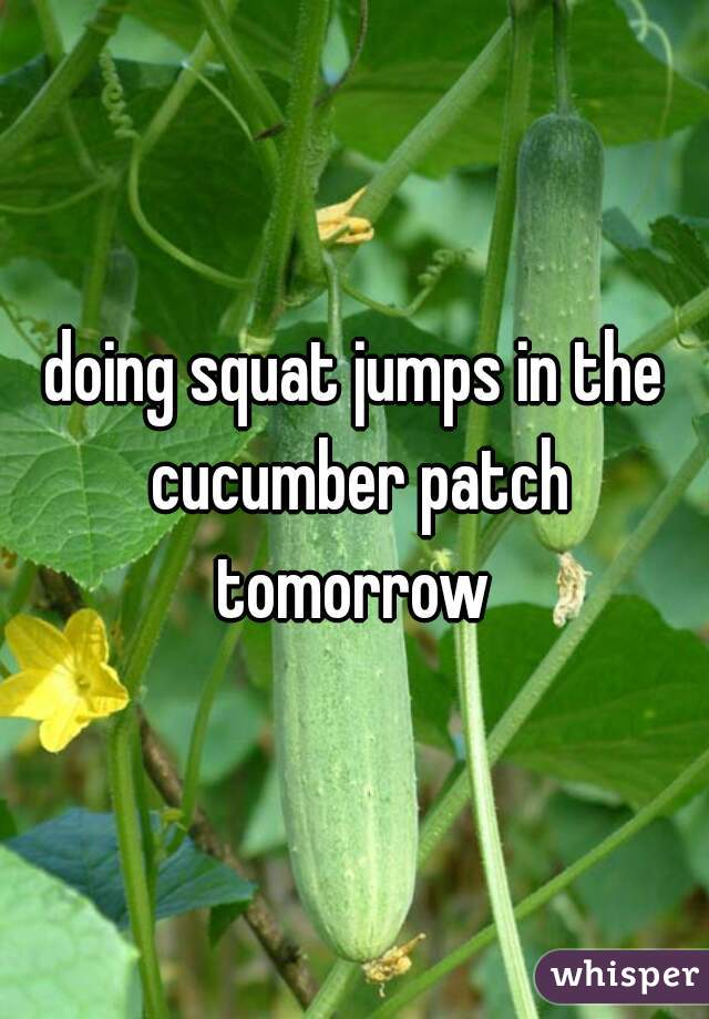 doing squat jumps in the cucumber patch tomorrow 