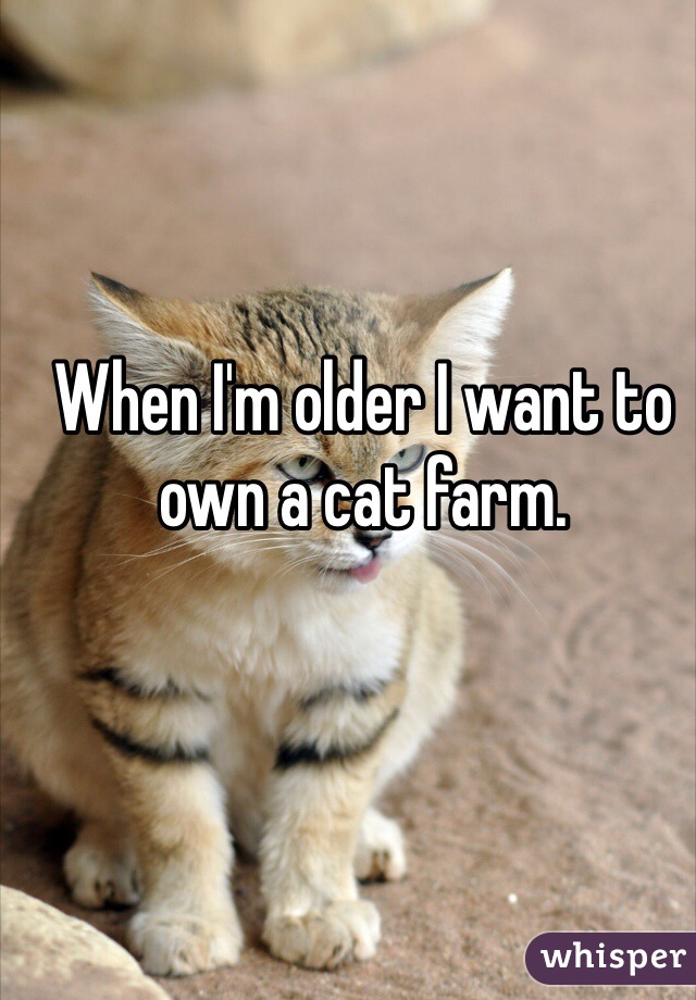 When I'm older I want to own a cat farm.