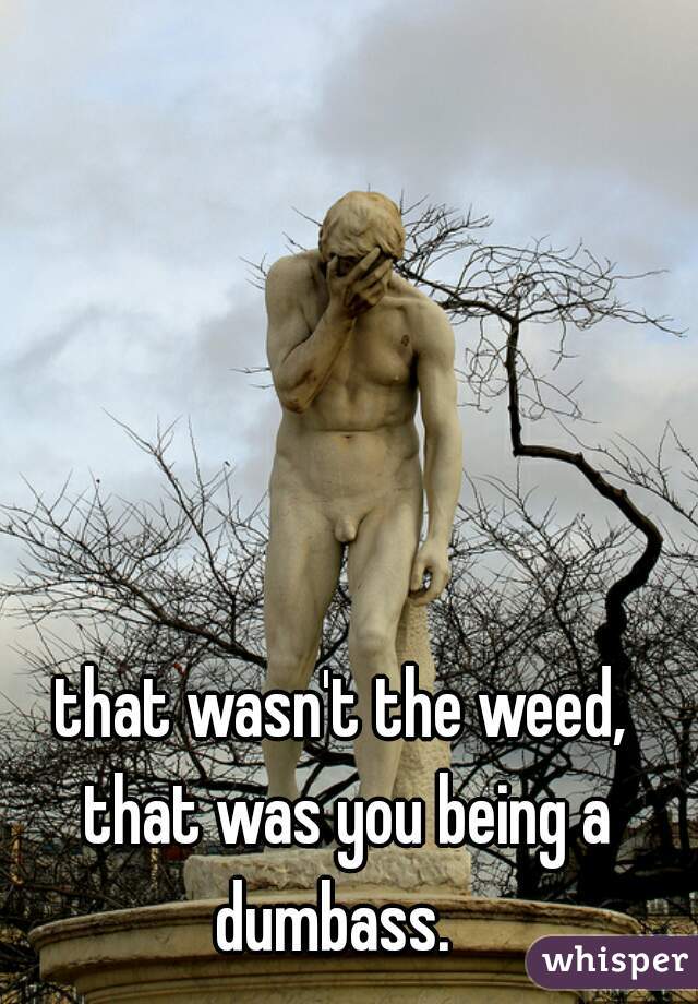that wasn't the weed, that was you being a dumbass.  