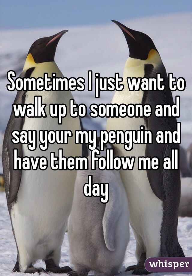 Sometimes I just want to walk up to someone and say your my penguin and have them follow me all day 