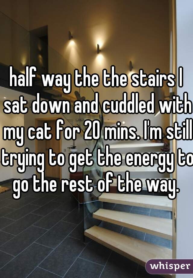 half way the the stairs I sat down and cuddled with my cat for 20 mins. I'm still trying to get the energy to go the rest of the way. 
