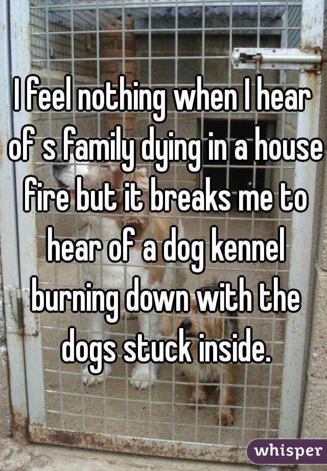 I feel nothing when I hear of s family dying in a house fire but it breaks me to hear of a dog kennel burning down with the dogs stuck inside.