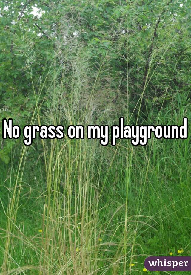 No grass on my playground