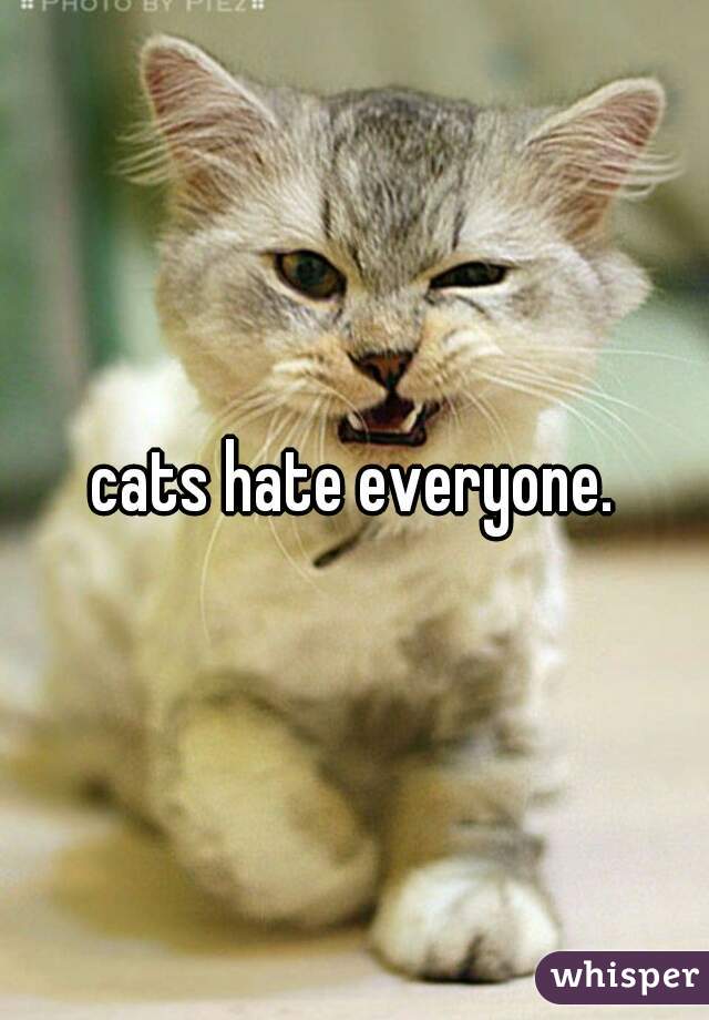 cats hate everyone.