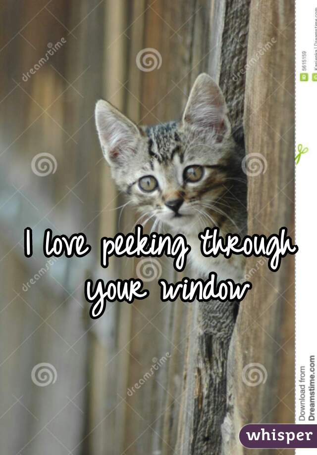 I love peeking through your window