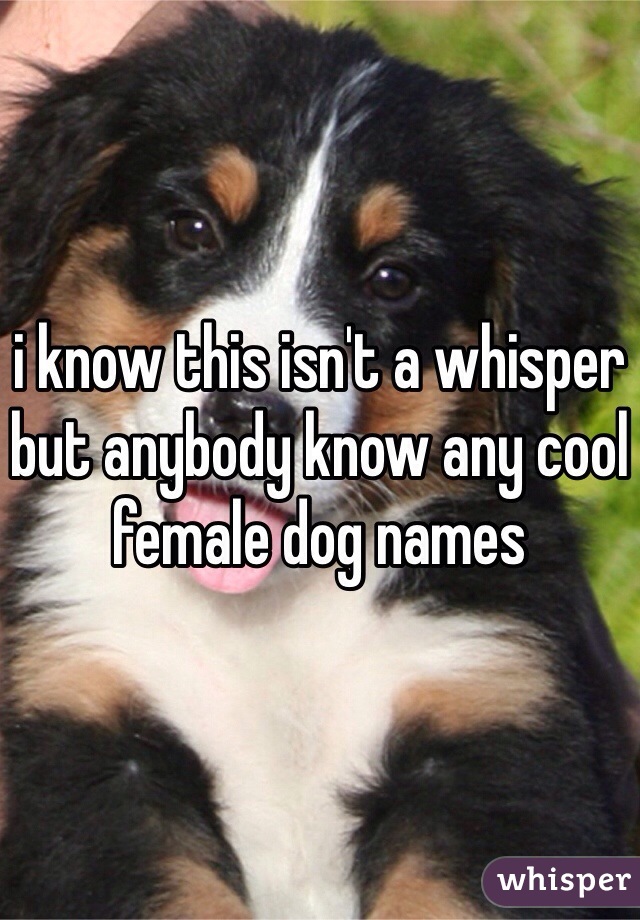 i know this isn't a whisper but anybody know any cool female dog names