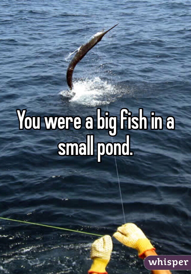 You were a big fish in a small pond.