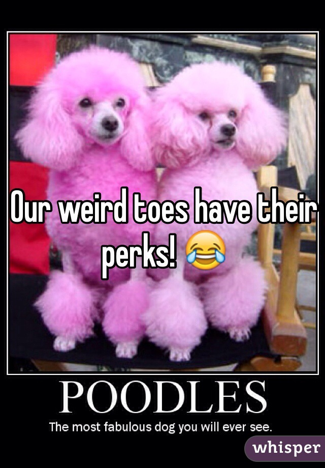 Our weird toes have their perks! 😂