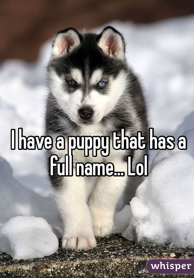 I have a puppy that has a full name... Lol