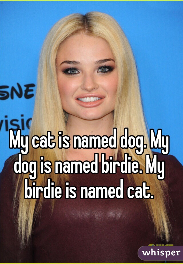 My cat is named dog. My dog is named birdie. My birdie is named cat.