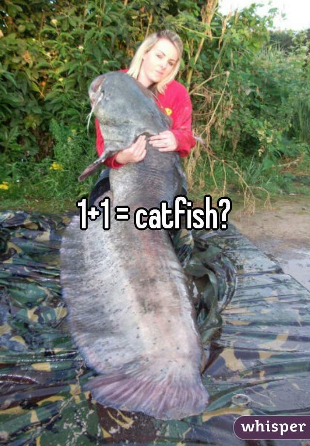 1+1 = catfish?
