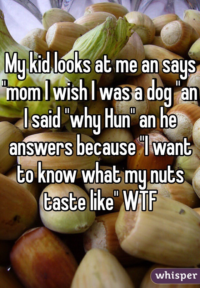 My kid looks at me an says "mom I wish I was a dog "an I said "why Hun" an he answers because "I want to know what my nuts taste like" WTF