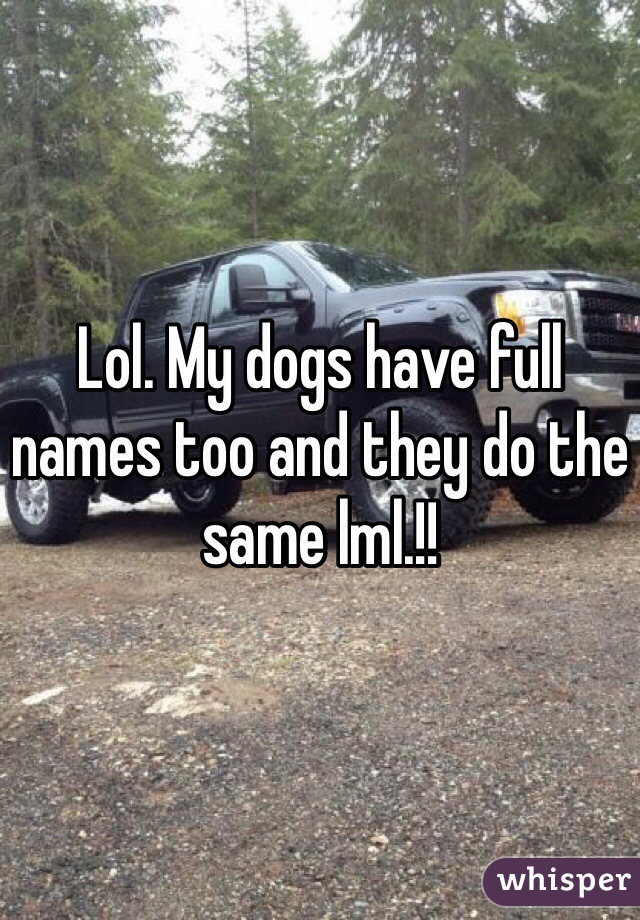 Lol. My dogs have full names too and they do the same lml.!!