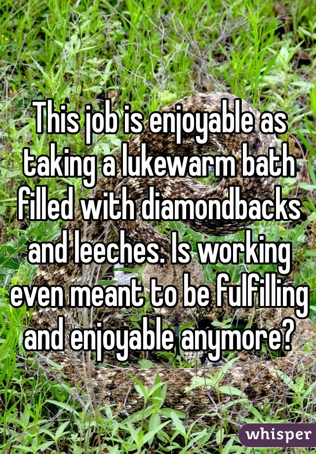 This job is enjoyable as taking a lukewarm bath filled with diamondbacks and leeches. Is working even meant to be fulfilling and enjoyable anymore?