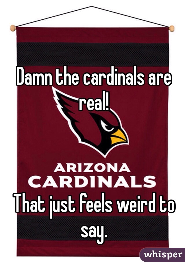Damn the cardinals are real! 



That just feels weird to say.