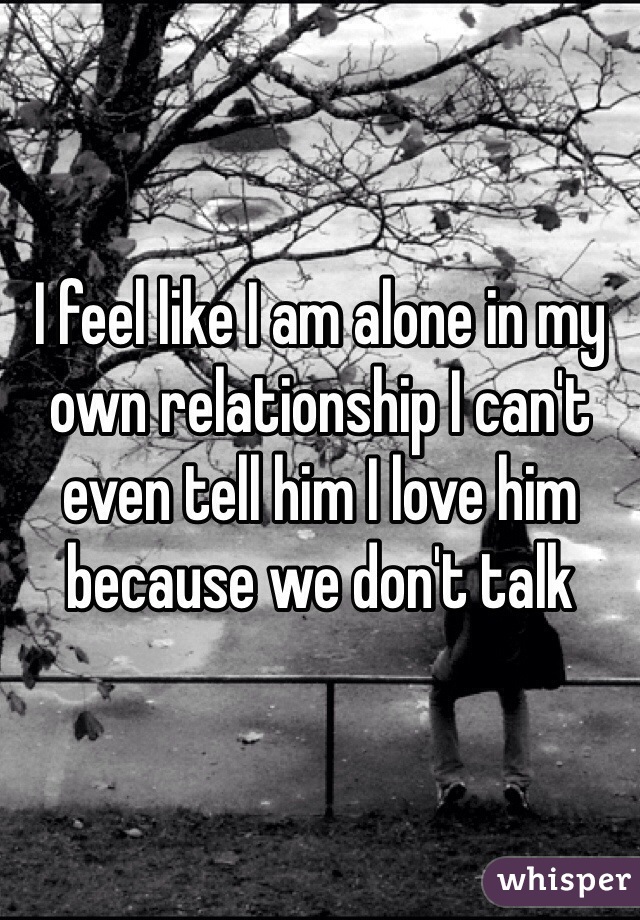 I feel like I am alone in my own relationship I can't even tell him I love him because we don't talk  