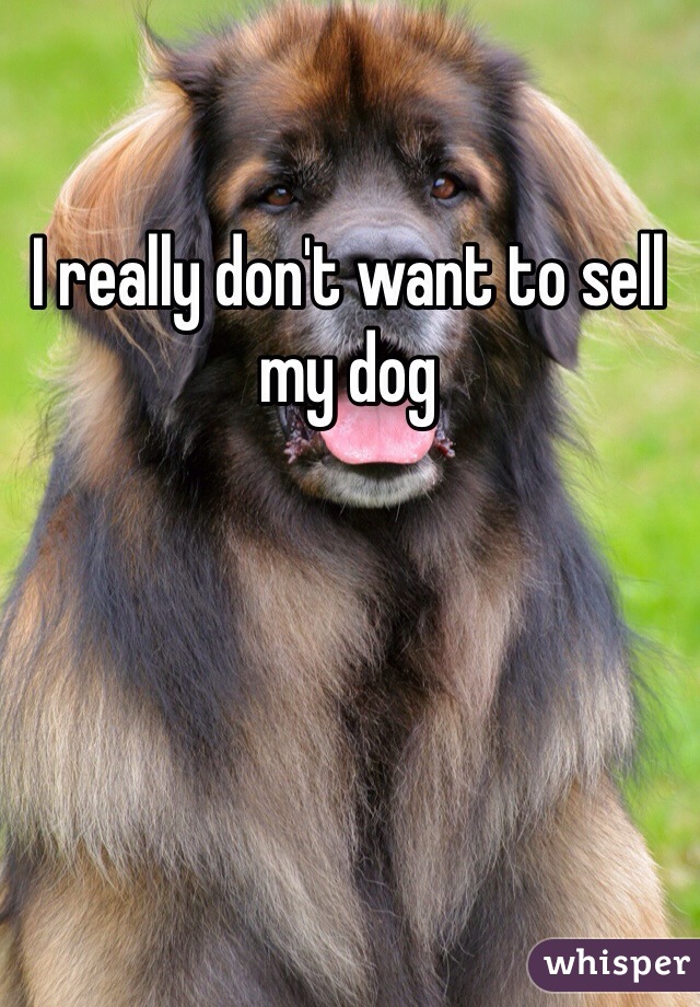 I really don't want to sell my dog 