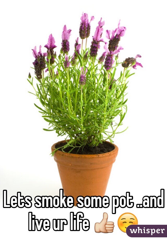 Lets smoke some pot ..and live ur life 👍☺️