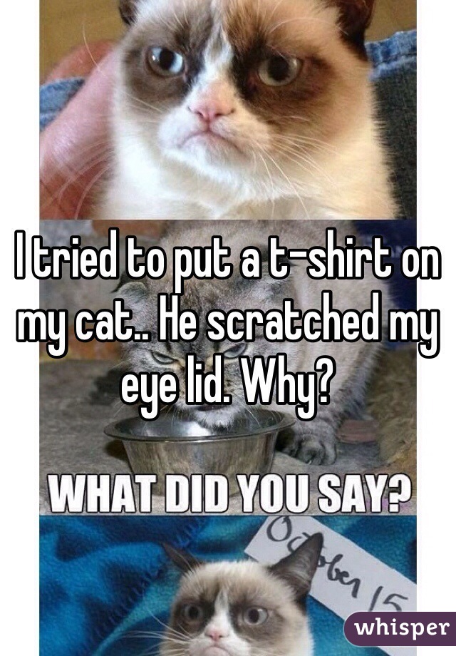 I tried to put a t-shirt on my cat.. He scratched my eye lid. Why?