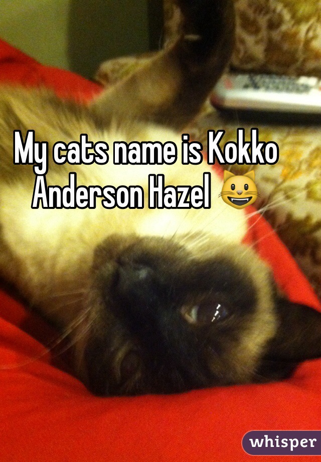 My cats name is Kokko Anderson Hazel 😺