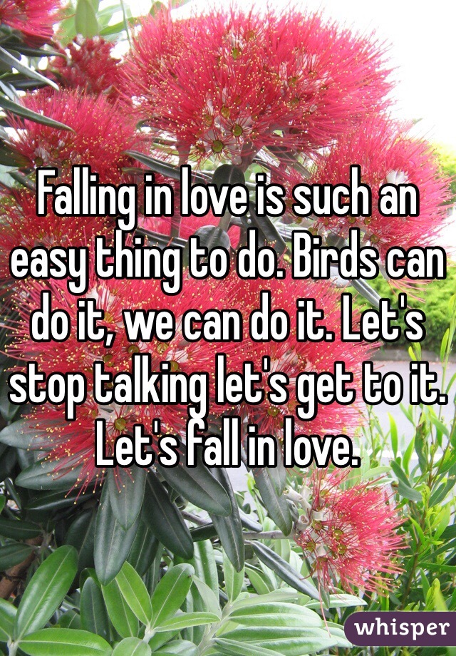 Falling in love is such an easy thing to do. Birds can do it, we can do it. Let's stop talking let's get to it. Let's fall in love.
