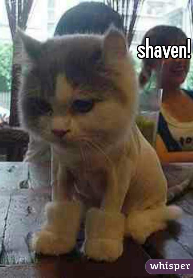 shaven!