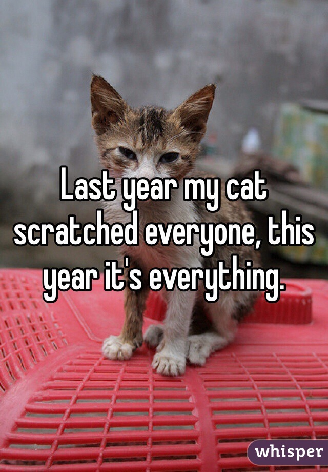 Last year my cat scratched everyone, this year it's everything. 