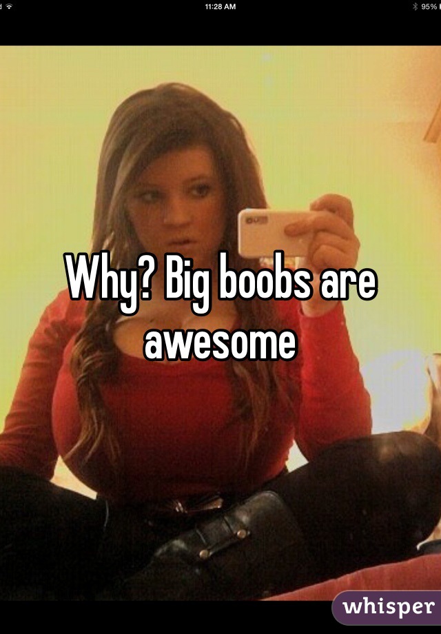 Why? Big boobs are awesome