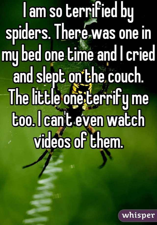 I am so terrified by spiders. There was one in my bed one time and I cried and slept on the couch. The little one terrify me too. I can't even watch videos of them. 