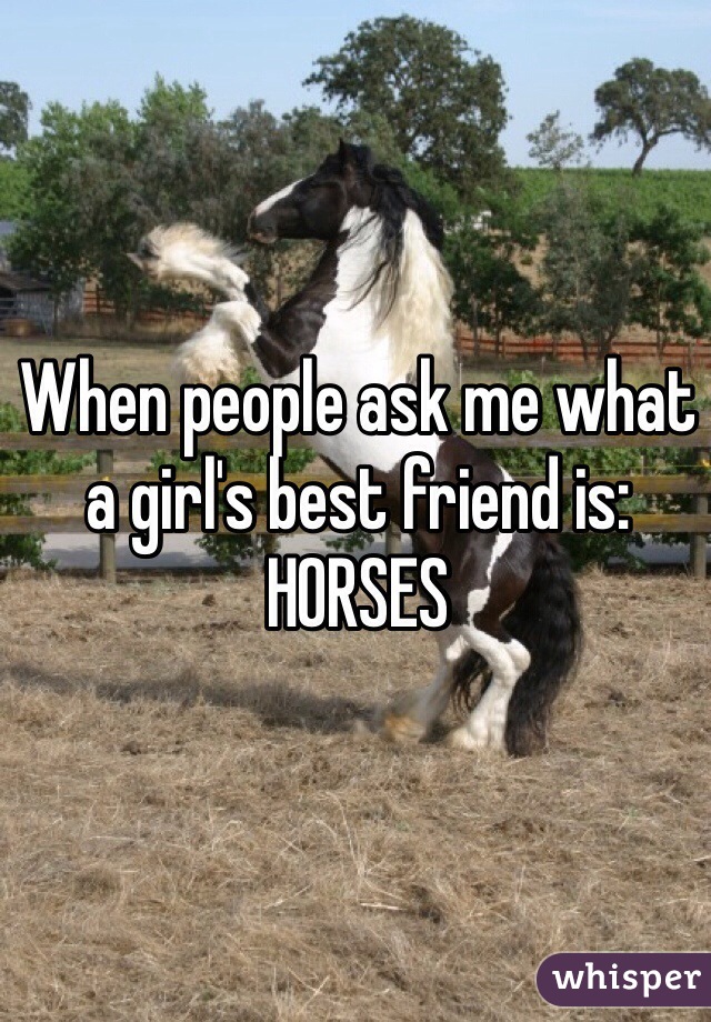 When people ask me what a girl's best friend is:
HORSES