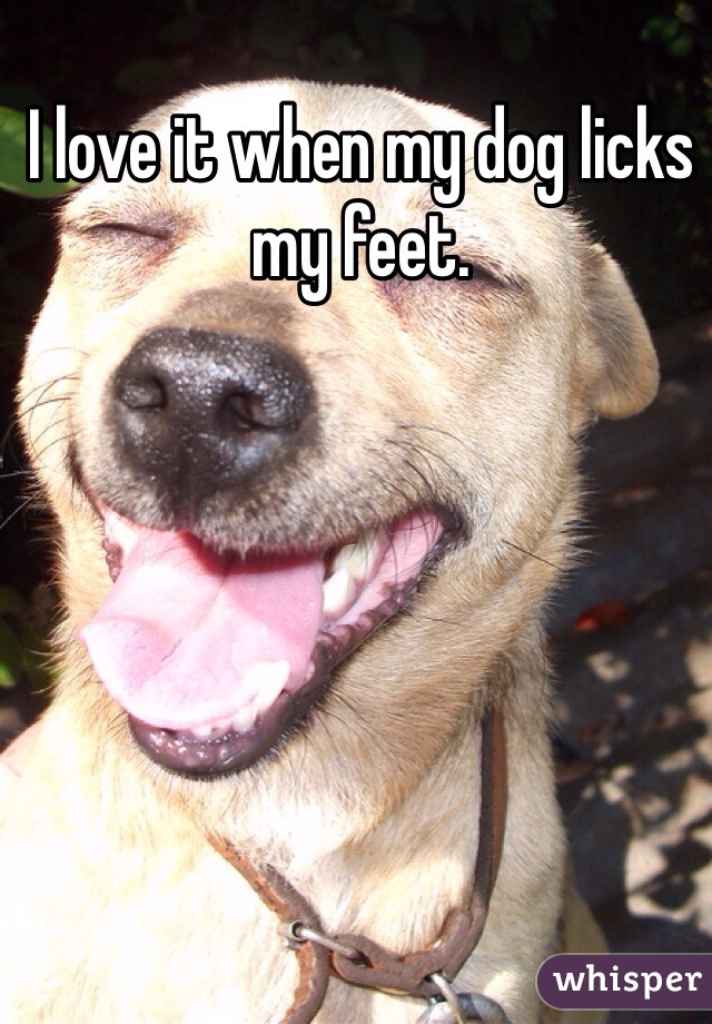 I love it when my dog licks my feet. 