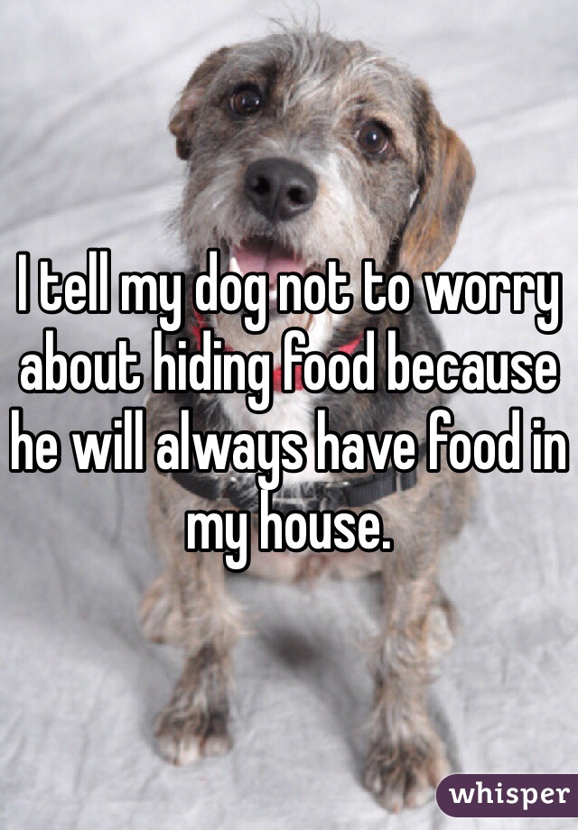 I tell my dog not to worry about hiding food because he will always have food in my house. 