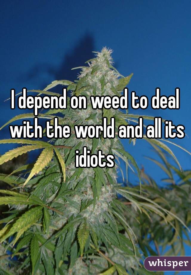 I depend on weed to deal with the world and all its idiots 