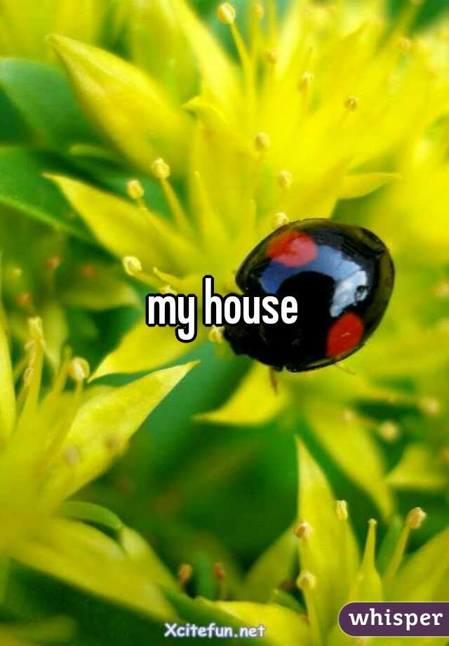 my house
