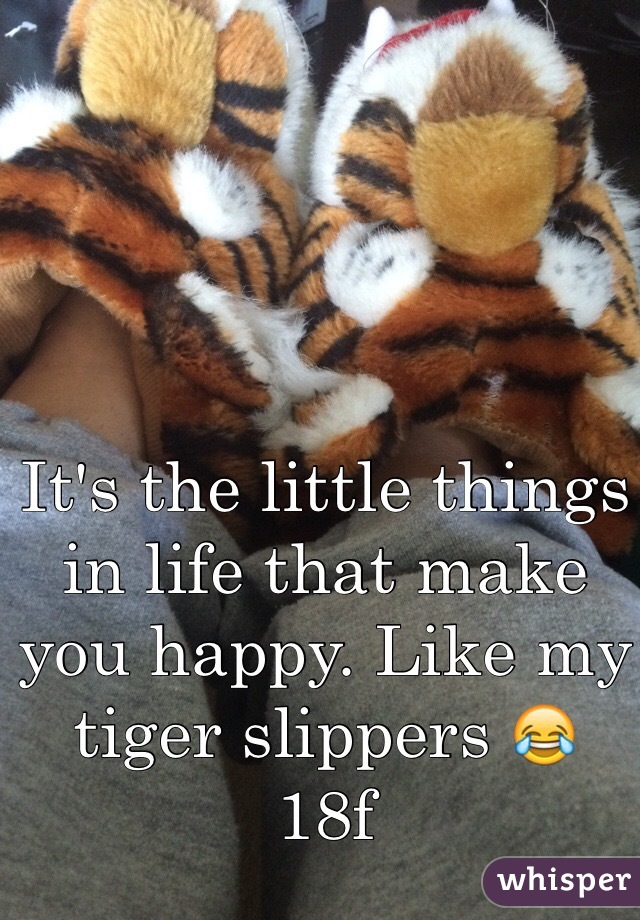 It's the little things in life that make you happy. Like my tiger slippers 😂
18f
