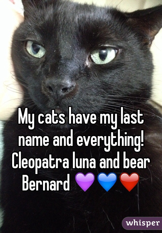 My cats have my last name and everything! 
Cleopatra luna and bear Bernard 💜💙❤️