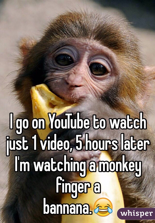 I go on YouTube to watch just 1 video, 5 hours later I'm watching a monkey finger a 
bannana.😂