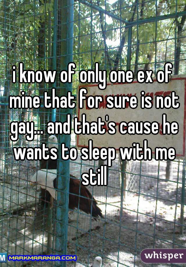 i know of only one ex of mine that for sure is not gay... and that's cause he wants to sleep with me still