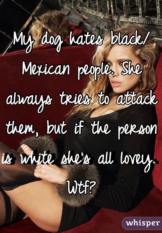 My dog hates black/Mexican people. She always tries to attack them, but if the person is white she's all lovey. Wtf? 
