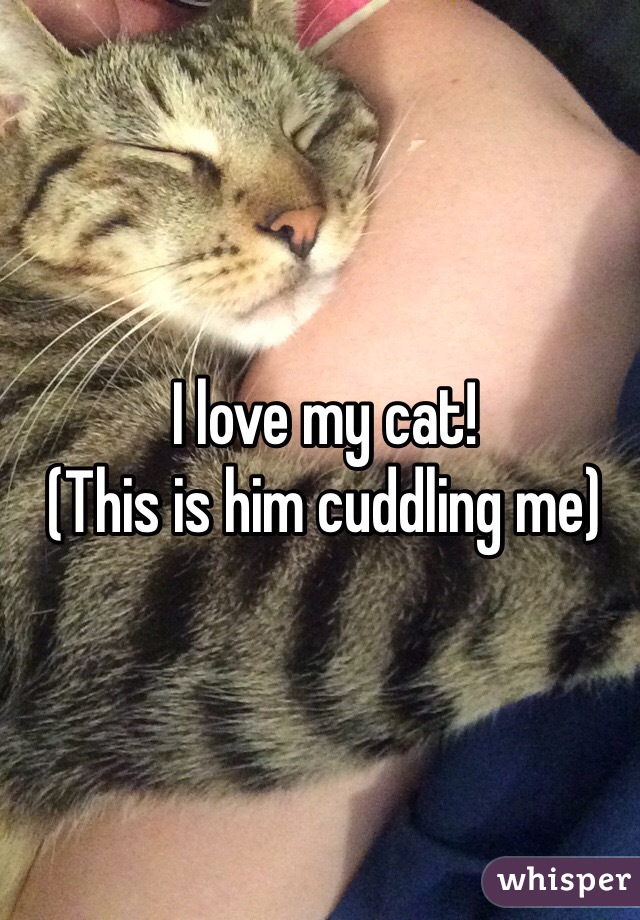 I love my cat!
(This is him cuddling me)