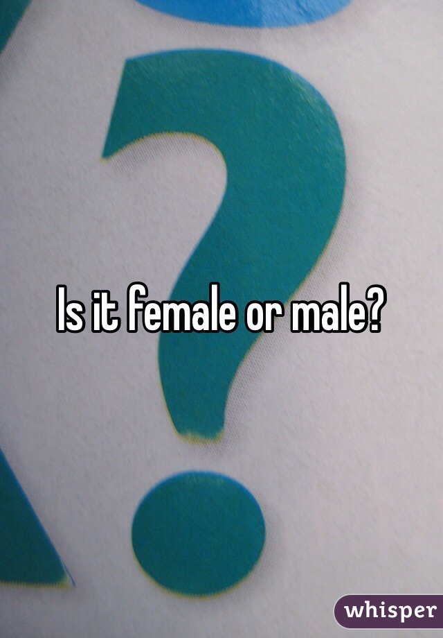 Is it female or male?
