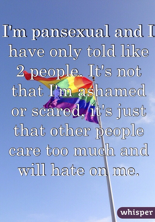 I'm pansexual and I have only told like 2 people. It's not that I'm ashamed or scared, it's just that other people care too much and will hate on me.